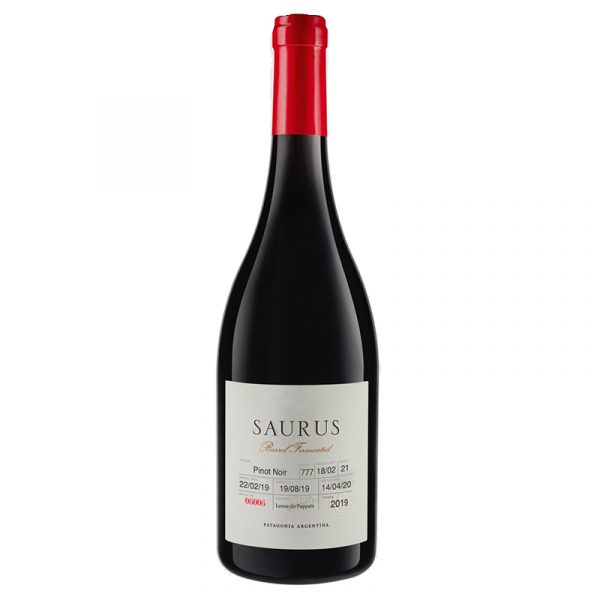 Vino tinto Saurus Barrel Fermented Pinot Noir | Vino de Argentina en The Wine Place