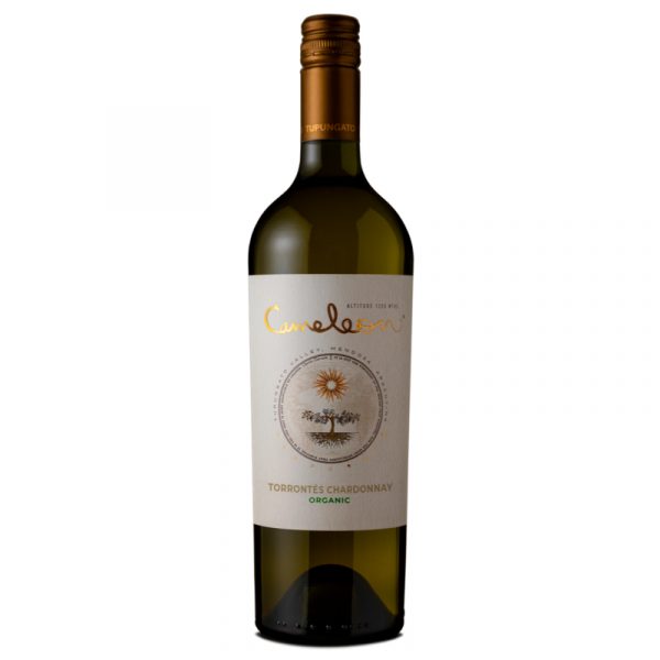 Vino blanco Domaine Bousquet Canaleon Chardonnay Torrontes