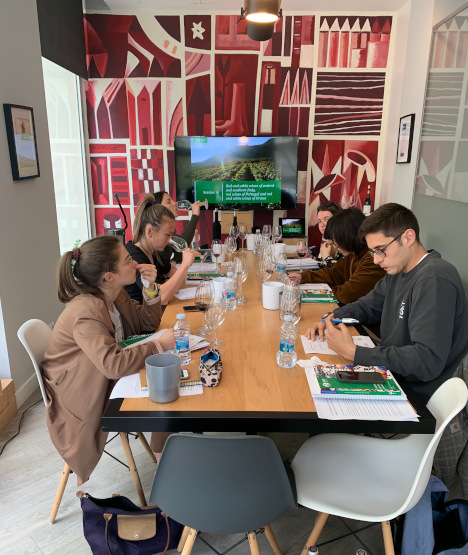 Cursos WSET en vino en Valencia, gracias a The Wine Place