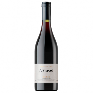 Vino Michelini i Mufatto 'A Merced' Bierzo