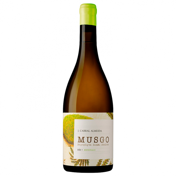 Vino blanco Musgo Encruzado