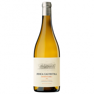 Vino Mustiguillo Finca Calvestra Merseguera